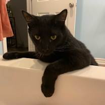 Thumbnail photo of Timmy- CP #1