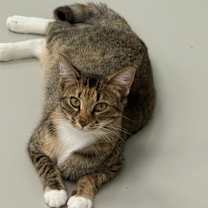 Thumbnail photo of Minette #3