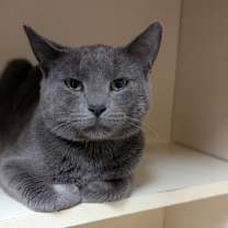 Thumbnail photo of Riley #2