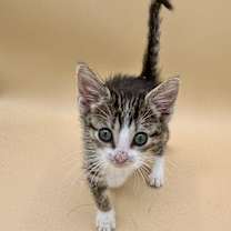 Thumbnail photo of Heaven #3