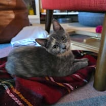 Thumbnail photo of Lucille #1