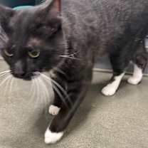 Thumbnail photo of Clayton #3