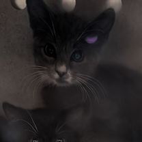 Thumbnail photo of MEECHEE #2