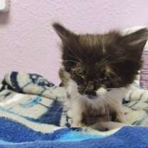 Thumbnail photo of 58582658 #2