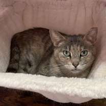 Thumbnail photo of London #2