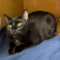 Thumbnail photo of Thelma #4