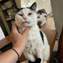 Thumbnail photo of Hank #2