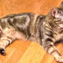 Thumbnail photo of Raquel #4