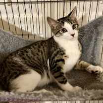 Thumbnail photo of Helly R #2