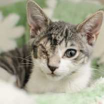 Thumbnail photo of Margo #1