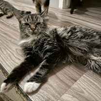 Thumbnail photo of Grace #1