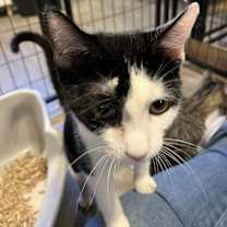 Thumbnail photo of Sosa #4