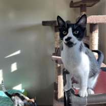 Thumbnail photo of Eli #2