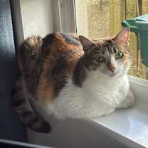 Thumbnail photo of Ramona #3