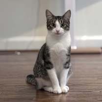 Thumbnail photo of Stan #2