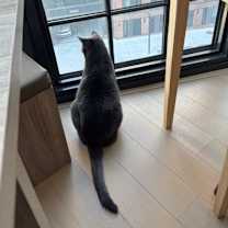 Thumbnail photo of Roy #4