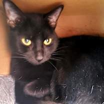 Thumbnail photo of Jenny #2