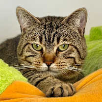 Thumbnail photo of Jaden #1