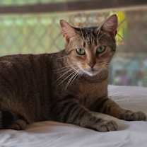 Thumbnail photo of Porter #2