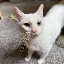 Thumbnail photo of Bonnie #1