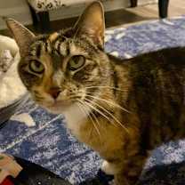 Thumbnail photo of Winnie #2