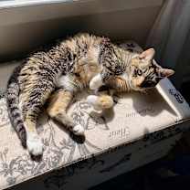 Thumbnail photo of Winnie #4