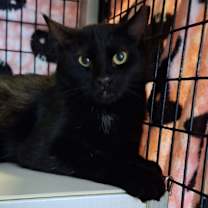 Thumbnail photo of Cubes #3