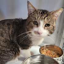 Thumbnail photo of Mikey YHS #2