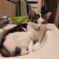 Thumbnail photo of Fernando #3