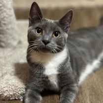 Thumbnail photo of Karis #1