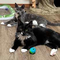 Thumbnail photo of Karis #2