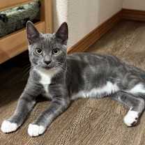 Thumbnail photo of Karis #3