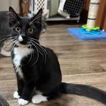 Thumbnail photo of Luthen #2