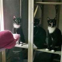 Thumbnail photo of Jack White #2