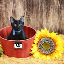 Thumbnail photo of Tuscarora #1