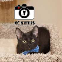 Thumbnail photo of Tuscarora #2