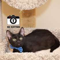 Thumbnail photo of Tuscarora #3