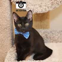 Thumbnail photo of Tuscarora #4