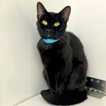 Thumbnail photo of Sissy #1