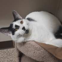 Thumbnail photo of Freddy #3