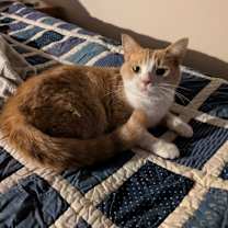 Thumbnail photo of Gordita #2