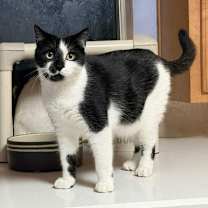 Thumbnail photo of AUGUST #1