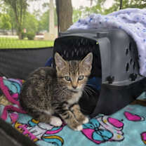 Thumbnail photo of Treasury #4