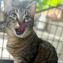 Thumbnail photo of LADY #2