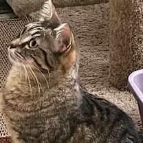 Thumbnail photo of LADY #4