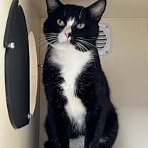 Thumbnail photo of Ivar #3