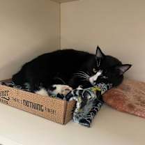 Thumbnail photo of Ivar #4