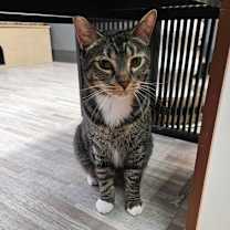 Thumbnail photo of Flare #4