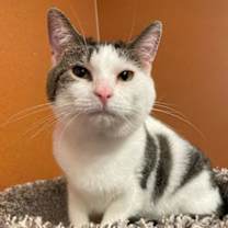 Thumbnail photo of Tucker #2