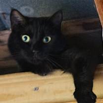 Thumbnail photo of Tippy #2